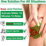 Natural Herbal Knee Patch (Pack of 12)